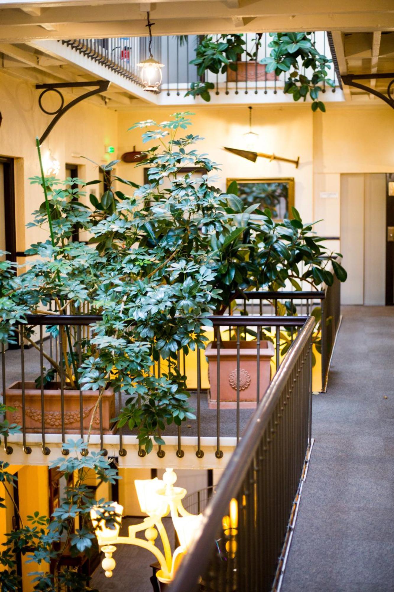 טולוז Grand Hotel D'Orleans מראה חיצוני תמונה